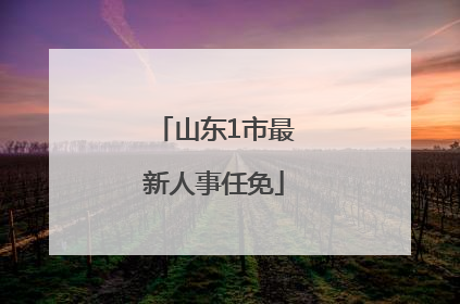 山东1市最新人事任免