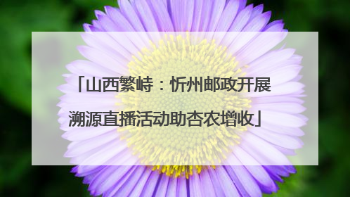 山西繁峙：忻州邮政开展溯源直播活动助杏农增收