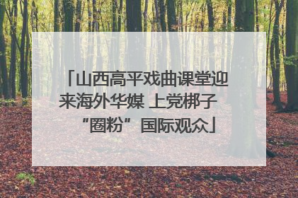 山西高平戏曲课堂迎来海外华媒 上党梆子“圈粉”国际观众