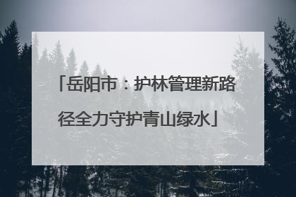岳阳市：护林管理新路径全力守护青山绿水