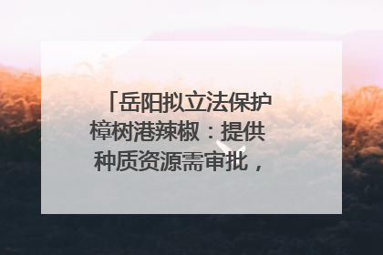 岳阳拟立法保护樟树港辣椒：提供种质资源需审批，违规最高罚5万