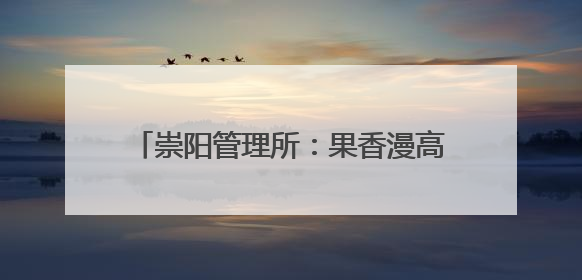 崇阳管理所：果香漫高速 爱心“鲜”万里