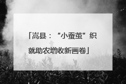 嵩县：“小蚕茧”织就助农增收新画卷