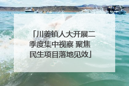 川姜镇人大开展二季度集中视察 聚焦民生项目落地见效