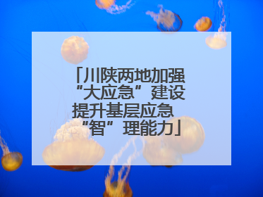 川陕两地加强“大应急”建设 提升基层应急“智”理能力