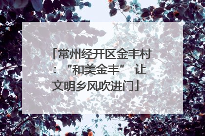 常州经开区金丰村：“和美金丰” 让文明乡风吹进门