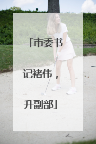 市委书记褚伟，升副部