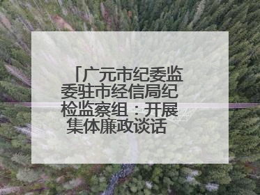 广元市纪委监委驻市经信局纪检监察组：开展集体廉政谈话 敲响廉政警钟