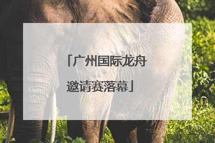 广州国际龙舟邀请赛落幕