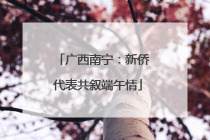 广西南宁：新侨代表共叙端午情