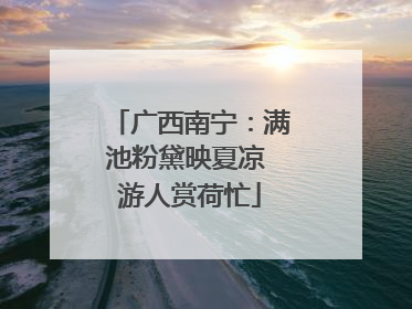广西南宁：满池粉黛映夏凉 游人赏荷忙