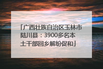 广西壮族自治区玉林市陆川县：3900多名本土干部回乡解纷促和