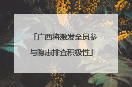广西将激发全员参与隐患排查积极性