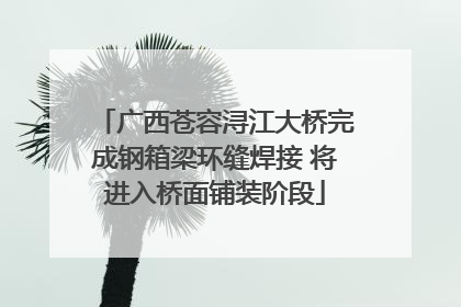 广西苍容浔江大桥完成钢箱梁环缝焊接 将进入桥面铺装阶段
