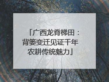 广西龙脊梯田：背篓变迁见证千年农耕传统魅力