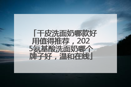 干皮洗面奶哪款好用值得推荐，2025氨基酸洗面奶哪个牌子好，温和在线