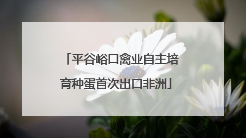 平谷峪口禽业自主培育种蛋首次出口非洲