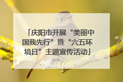 庆阳市开展“美丽中国我先行”暨“六五环境日”主题宣传活动