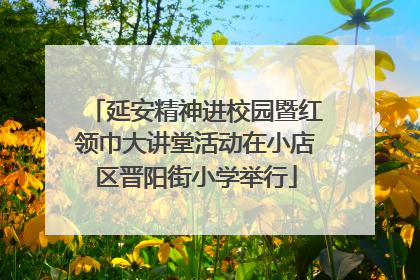 延安精神进校园暨红领巾大讲堂活动在小店区晋阳街小学举行