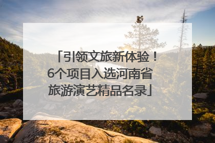引领文旅新体验！6个项目入选河南省旅游演艺精品名录