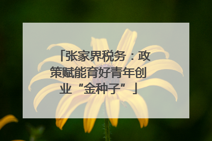 张家界税务：政策赋能育好青年创业“金种子”