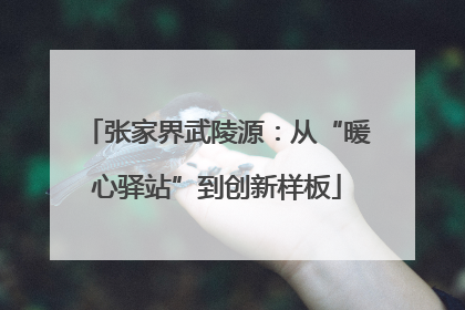 张家界武陵源：从“暖心驿站”到创新样板