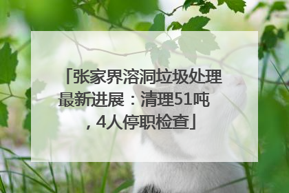 张家界溶洞垃圾处理最新进展：清理51吨，4人停职检查