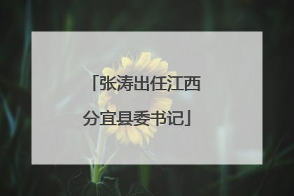 张涛出任江西分宜县委书记