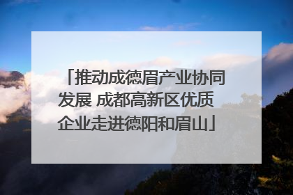 推动成德眉产业协同发展 成都高新区优质企业走进德阳和眉山