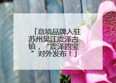 意境品牌入驻苏州吴江震泽古镇，“震泽四宝”对外发布！