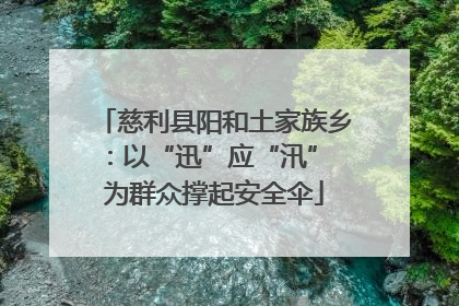 慈利县阳和土家族乡：以“迅”应“汛” 为群众撑起安全伞