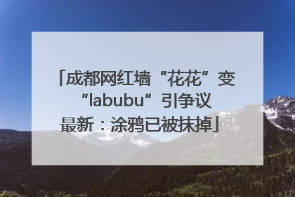 成都网红墙“花花”变“labubu”引争议 最新：涂鸦已被抹掉