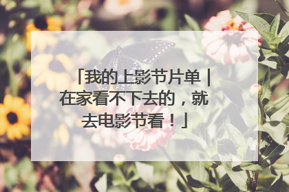 我的上影节片单｜在家看不下去的，就去电影节看！