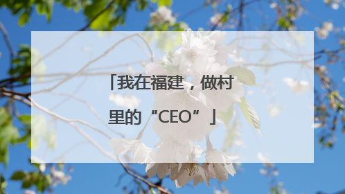 我在福建，做村里的“CEO”