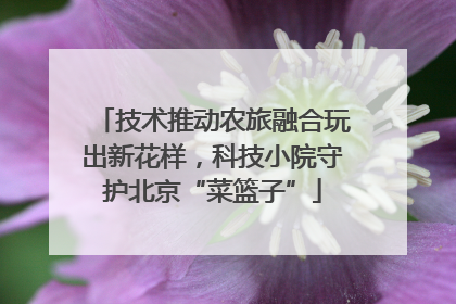 技术推动农旅融合玩出新花样，科技小院守护北京“菜篮子”