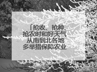 抢收、抢种、抢农时和好天气 从南到北各地多举措保障农业生产顺利进行