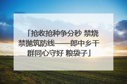 抢收抢种争分秒 禁烧禁抛筑防线——郎中乡干群同心守好 粮袋子