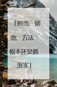 担当、韧劲、方法：根本还是抓落实