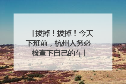 拔掉！拔掉！今天下班前，杭州人务必检查下自己的车