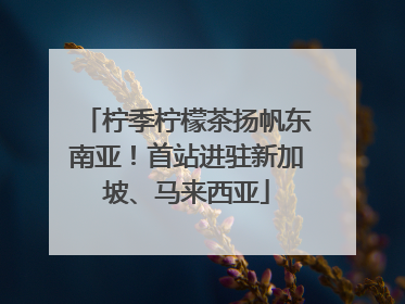 柠季柠檬茶扬帆东南亚！首站进驻新加坡、马来西亚