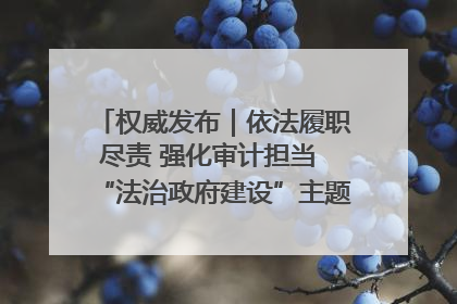 权威发布｜依法履职尽责 强化审计担当 “法治政府建设”主题系列新闻发布会市审计局专场召开