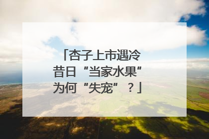 杏子上市遇冷 昔日“当家水果”为何“失宠”？