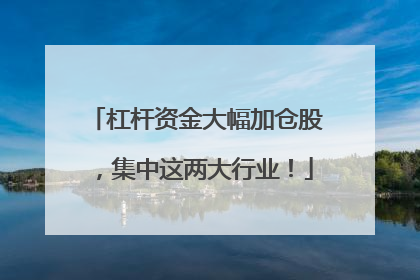 杠杆资金大幅加仓股，集中这两大行业！