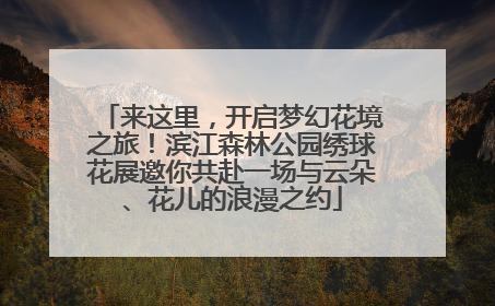 来这里，开启梦幻花境之旅！滨江森林公园绣球花展邀你共赴一场与云朵、花儿的浪漫之约