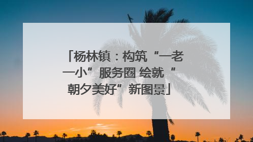 杨林镇：构筑“一老一小”服务圈 绘就“朝夕美好”新图景