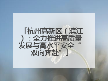 杭州高新区（滨江）：全力推进高质量发展与高水平安全“双向奔赴”