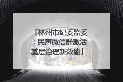 林州市纪委监委：民声微信群激活基层治理新效能