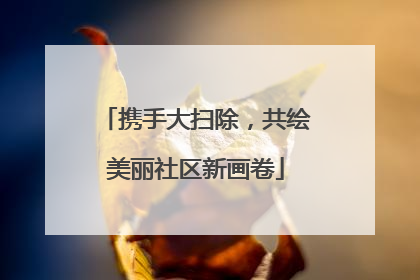 携手大扫除，共绘美丽社区新画卷