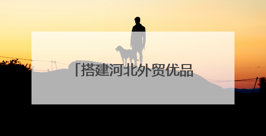 搭建河北外贸优品“卖全球”新通道