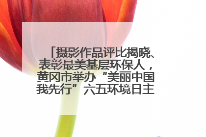 摄影作品评比揭晓、表彰最美基层环保人，黄冈市举办“美丽中国我先行”六五环境日主题宣传活动